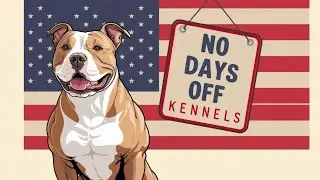 Which standard do i prefer? #ukc #ukcbully #abkc #adba #americanbullybreed #happydogs #healthydogs