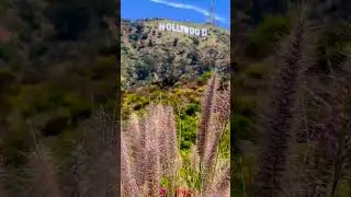 #Shorts Hollywood Sign Status Video | Hollywood sign Facts | About Hollywood sign