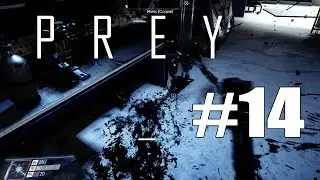 Prey - Walkthough Part 14 HOW TO GET IN HALDEN GRAVES OFFICE 1080p 60FPS