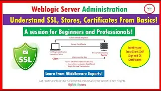 SSL Session for Beginners and Experienced Professional!!  Understand from Scratch and Simple Way!!