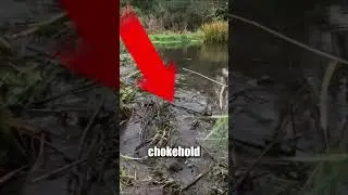 Он спасает мост от ОГРОМНОГО ЗАТОРА! 😨