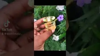VERSACE YELLOW DIAMOND INTENSE🌼 #floral #citrus #versace #viral #shorts #trending #sotd #youtube