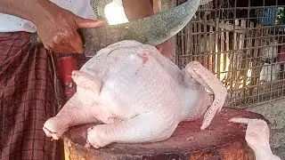 Amazing!! how to Cutting chicken - Chickens cutting skills by professional butcher in food market