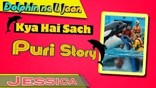 Dolphin jessica full history video orca #jessica #death #dolphin #orca #history #jessica #fullvideo