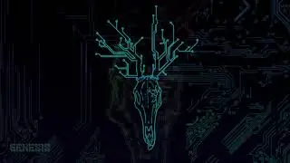 Zyrit - Genesis