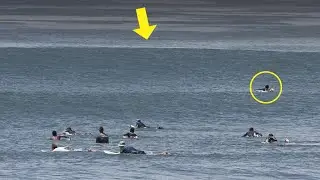 Surfer Paddles Out To Meet Biggest Wave Of The Day (Opening Scene) – Keramas