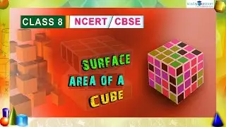 Mensuration - Surface Area of a Cube - #class8 #chapter11 #ncertmaths
