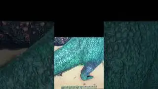 Giga and Charcar size comparison! #arksurvivalevolved #ark #giga #charchar #giganotosaurus #dinosaur
