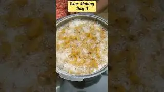 Pineapple Wine 🍍 Day 3 | Just Stir & Wait  #shorts #shortvideo #homemadewine #pineapplewine#minivlog
