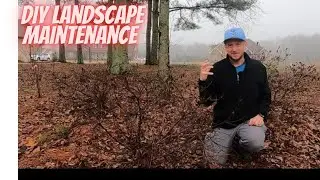 DIY | March 2023 Landscape Maintenance Guide