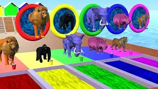 Wild Animals Pool Game jump. elephant bear tiger hippo loin | Swimming Pool jump | Pocotoons