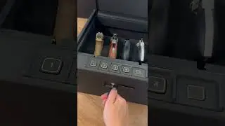 RPN3 Gun Safe Review - 4 pistol biometric with USB