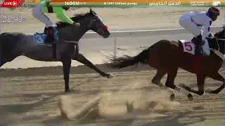 موسم سباقات 1447هـ الحفل الخامس الشوط الثاني