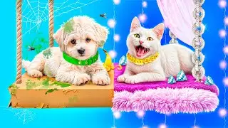 Construim Un Pat Supraetajat Pentru Animale De Companie!