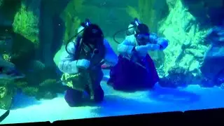 Divers in 'Hanbok' greet New Year underwater