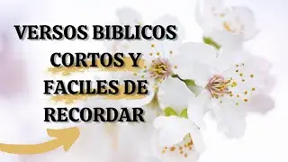 Memoriza Estos 20  Hermosos Versos de la Biblia en Menos de 5 Minutos
