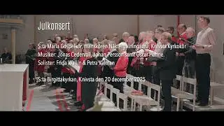 Julkonsert i S:ta Birgittakyrkan, Knivsta den 20 december 2025.