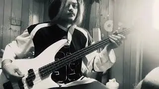 To Be Scared By An Owl - Alesana (Bass Cover)
