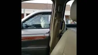 Pippa making a doggie sing