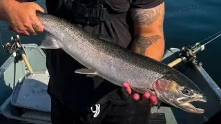 STEELHEAD Fishing Insanity, We Can't be STOPPED!