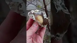 Mirror Polished Yellow Eye Orange Chalcedony