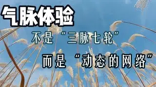 气脉体验——不是“三脉七轮”，而是“动态的网络”