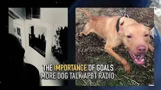 IMPORTANCE OF GOALS BUCK CITY KENNELS SPITS GAME TO ALL DOGMEN IN THE WORLD - AWESOME BABY & CH JEEP