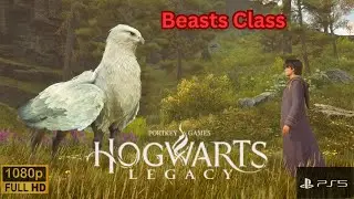 Hogwarts Legacy | Beasts Class Full Quest | PS5 Walkthrough Gameplay HD