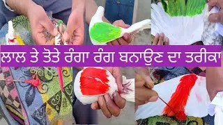 ਅੱਜ ਲਾਇਆ ਕਬੂਤਰਾ ਦੇ ਰੰਗ# ਬਨਾਉਣ ਦਾ ਤਰੀਕਾ ਦੱਸਿਆ#🕊🕊🕊