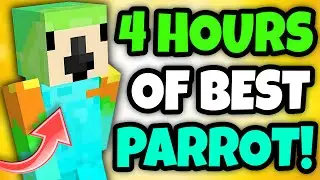 *4 HOURS* OF PARROT MINECRAFT! (Best Moments)