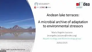 Andean lake terraces: A microbial archive of adaptation to environmental stressors