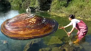 Seeing such a big clam again, there will soon be beautiful pearls