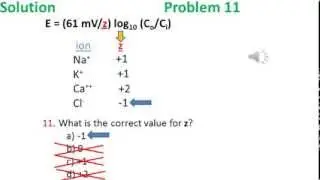 Diffusion and Osmosis problem 11 video