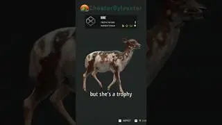 The Piebald Female Fallow | theHunter: Call of the Wild