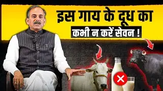 Disease Prevention Tips | Is Cow Milk Safe? | Acharya Manish Ji | Dr. BRC | HiiMS