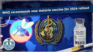WHO recommends new malaria vaccine for 2024 rollout | DT Next