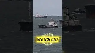 Marine Traffic #ship
