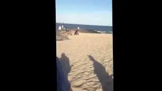 saltlife EP2 big doormat fluke !!!