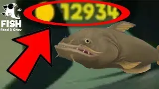 Feed and grow: Fish- How to get infinite coins!