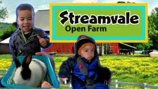 Streamvale Open Farm