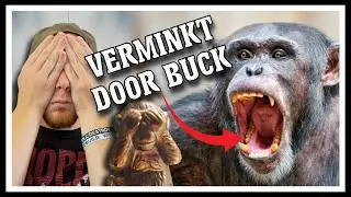 CHIMPANSEE MOORD VERHAAL?!? - Chimp horror verhalen - Hiddevlogs