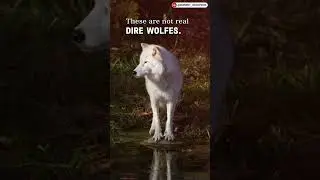 Are Dire Wolves Coming Back? | Is De-Extinction Real | Genetic Engineering Breakthrough! #shortvideo