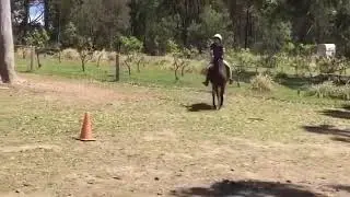 Jumping Lesson on Mouse! #equestrianjourney 
