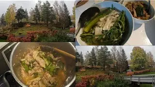 Cooking dinner for my family | cooking wild pig meat for the first time, its was delicious😁😋🍛🥘
