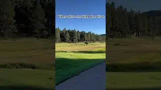 Driver vibes&hellip; #lol #golf #viral #shorts #youtubeshorts #viralvideo #viralshorts #foryou #funny #fyp