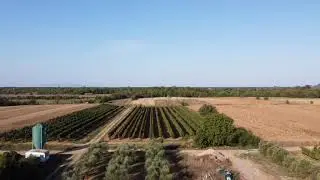 Agriturismo Terre dell'Osa.