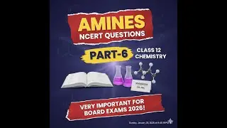 Amines NCERT Questions Part 6 | Class 12 Chemistry | Very Important for Board Exams 2026
