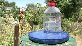 Eine Vogeltr&auml;nke mit Nachf&uuml;ll-Funktion