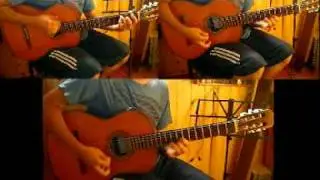 Del plumerillo (Gato)