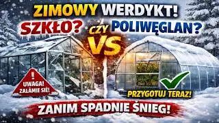 ZIMOWY WERDYKT: Szkło czy Poliwęglan? Co ZROBIĆ z każdą szklarnią ZANIM spadnie śnieg.